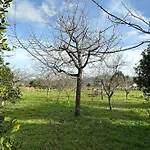 Dorinda - O Salnes - Rias Baixas Prázdninový dům *