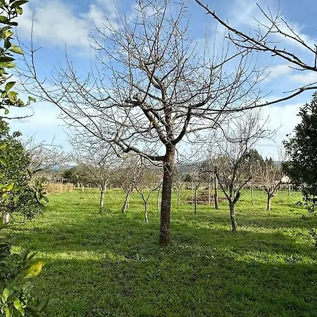 Dorinda - O Salnes - Rias Baixas Holiday home *